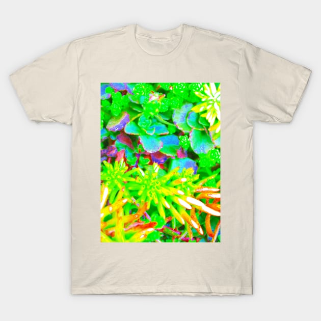 Neon Fuzz T-Shirt by Art of V. Cook